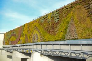 Guildford Mall Living Wall
