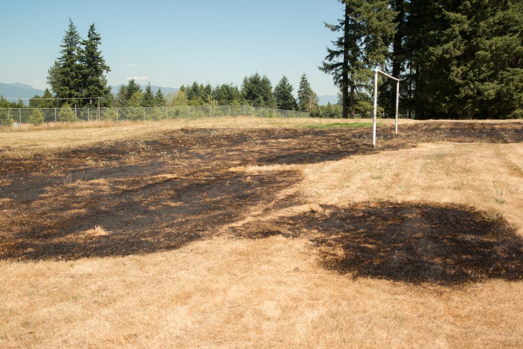The recent spell of hot weather has caused very dry conditions in Surrey, increasing the risk of brush fires. Despite last weekend’s rainfall, the local forests and grasslands remain extremely dry and can easily be set ablaze by discarded cigarettes or other burning objects as evidenced by this grass fire which got started near the Anniedale School near 176th and the Trans Canada Highway. Photo by Ray Hudson