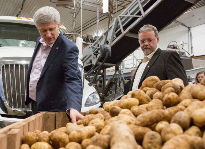 Prime Minister Stephen Harper makes an announcement in Prince Edward Island, September 10, 2015.CPC Photo by Jason Ransom