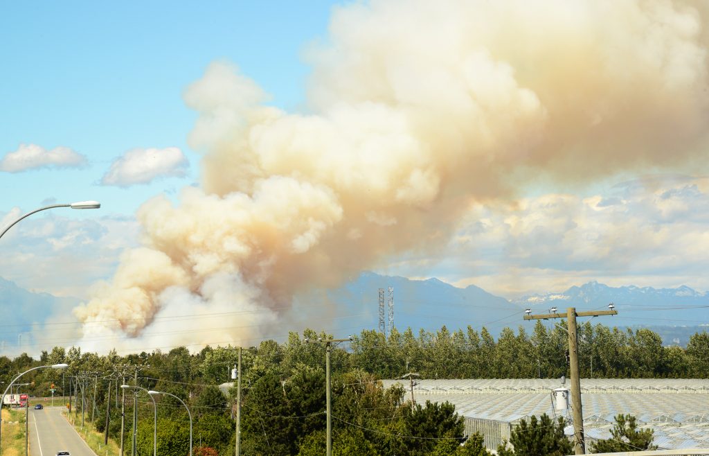 Burns Bog on fire just over two hours old from Boundary Bay airport rail overpass. Photo: Ray Hudson